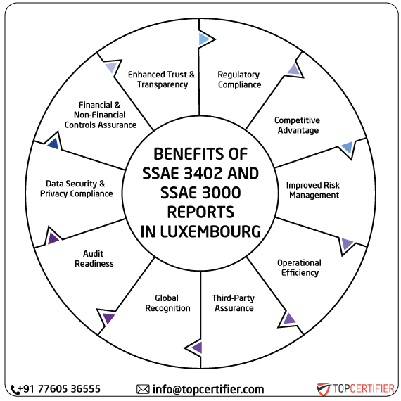 SSAE & SSAE 3000 Report in south-africa